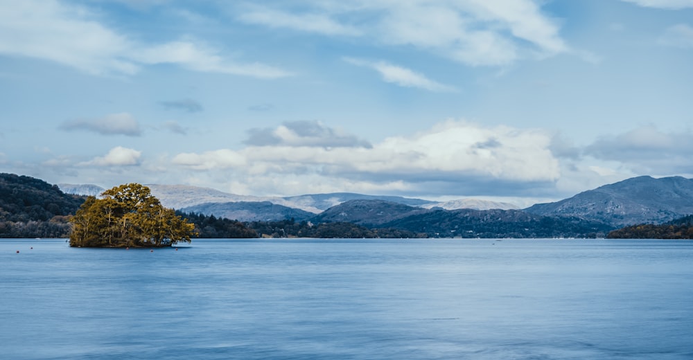 green trees near body of water under white clouds during daytime