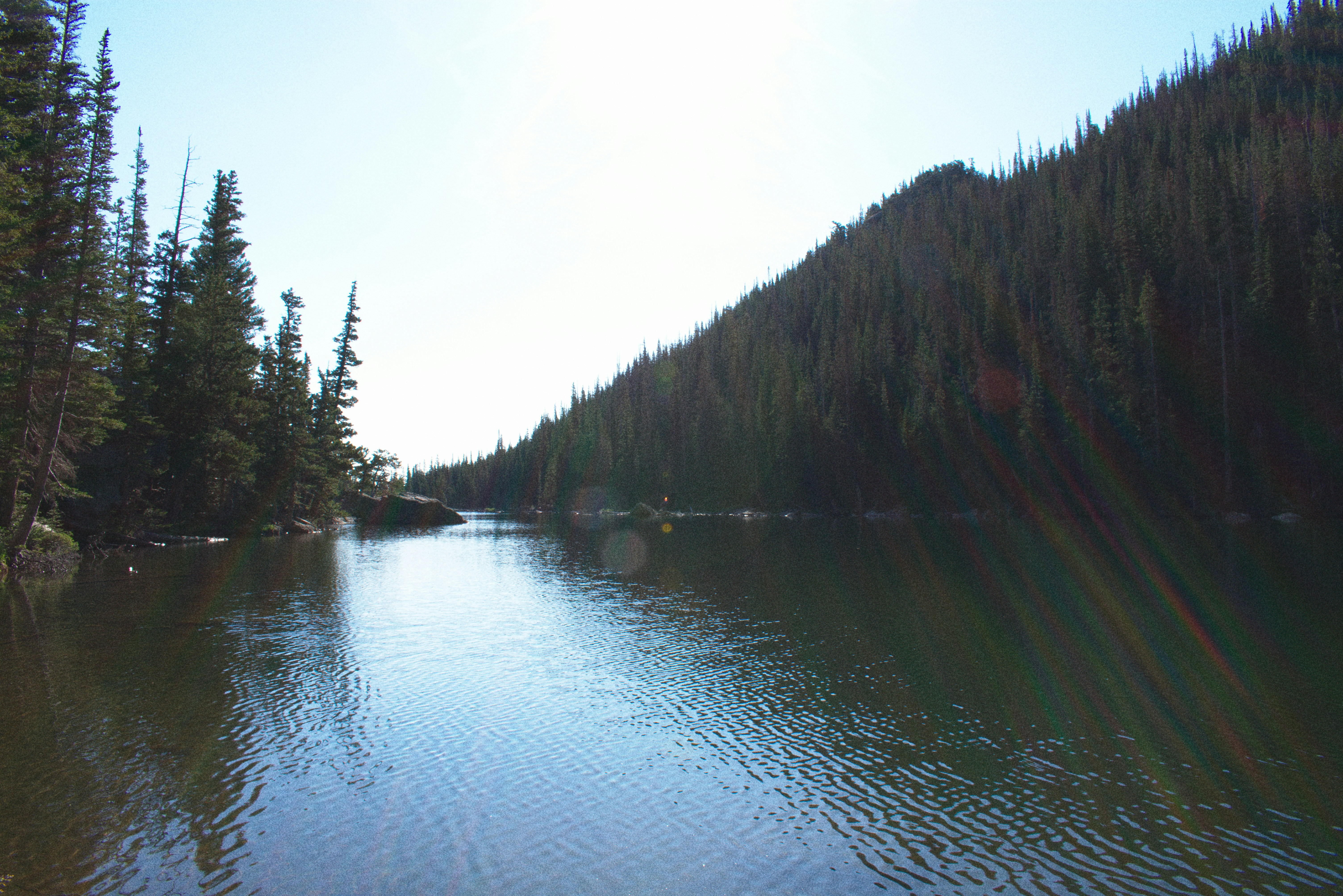 Photo by toastipengi