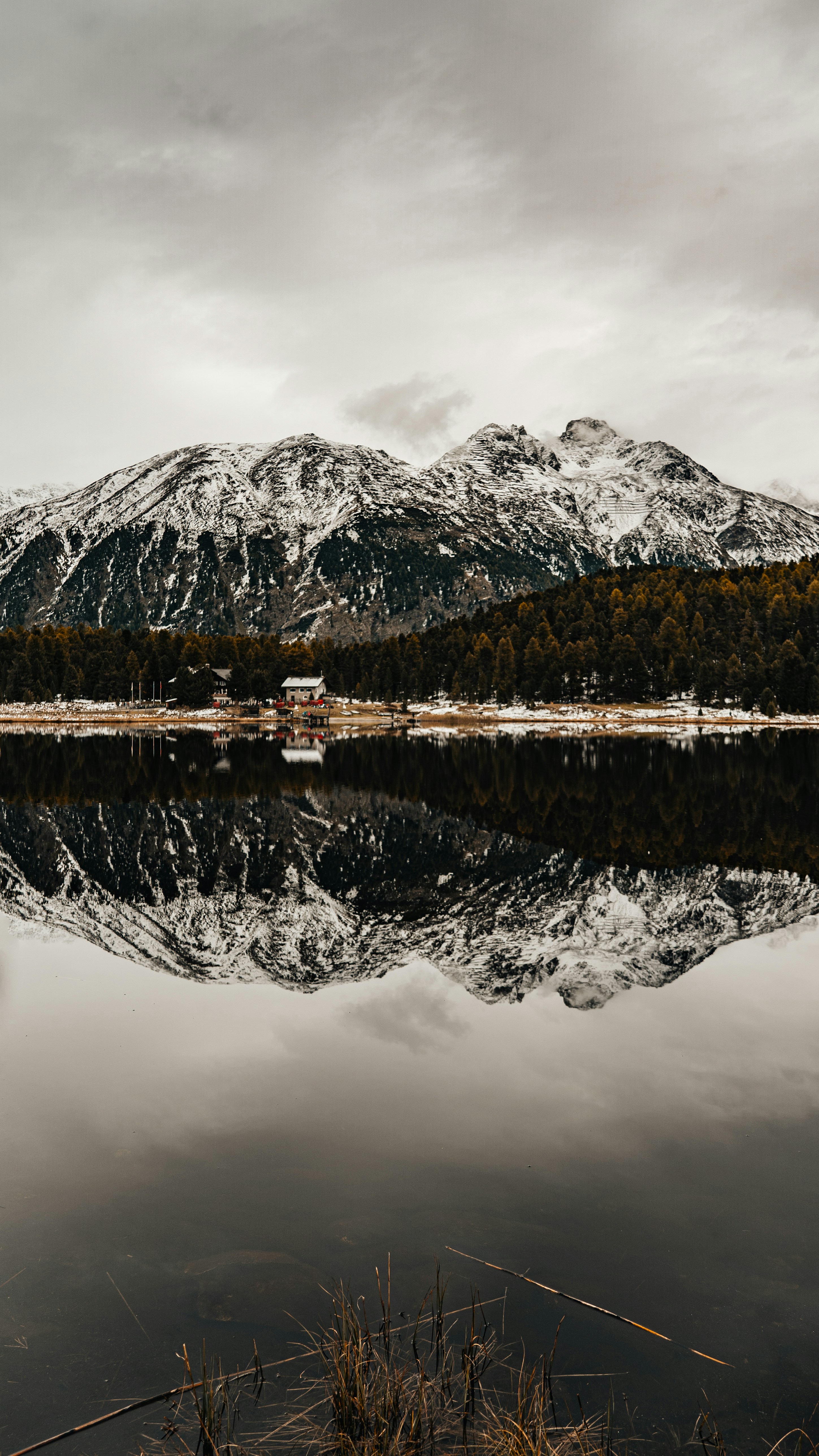 Photo by dariomuellerf