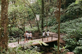 people sitting on brown wooden bridge during daytime