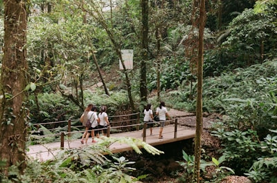 people sitting on brown wooden bridge during daytime