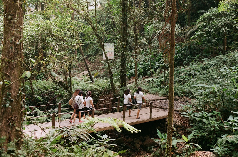 people sitting on brown wooden bridge during daytime
