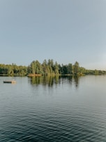 A serene lakeside scene with a small wooden dock and calm water reflecting trees.