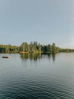 A serene lakeside scene with a small wooden dock and calm water reflecting trees.
