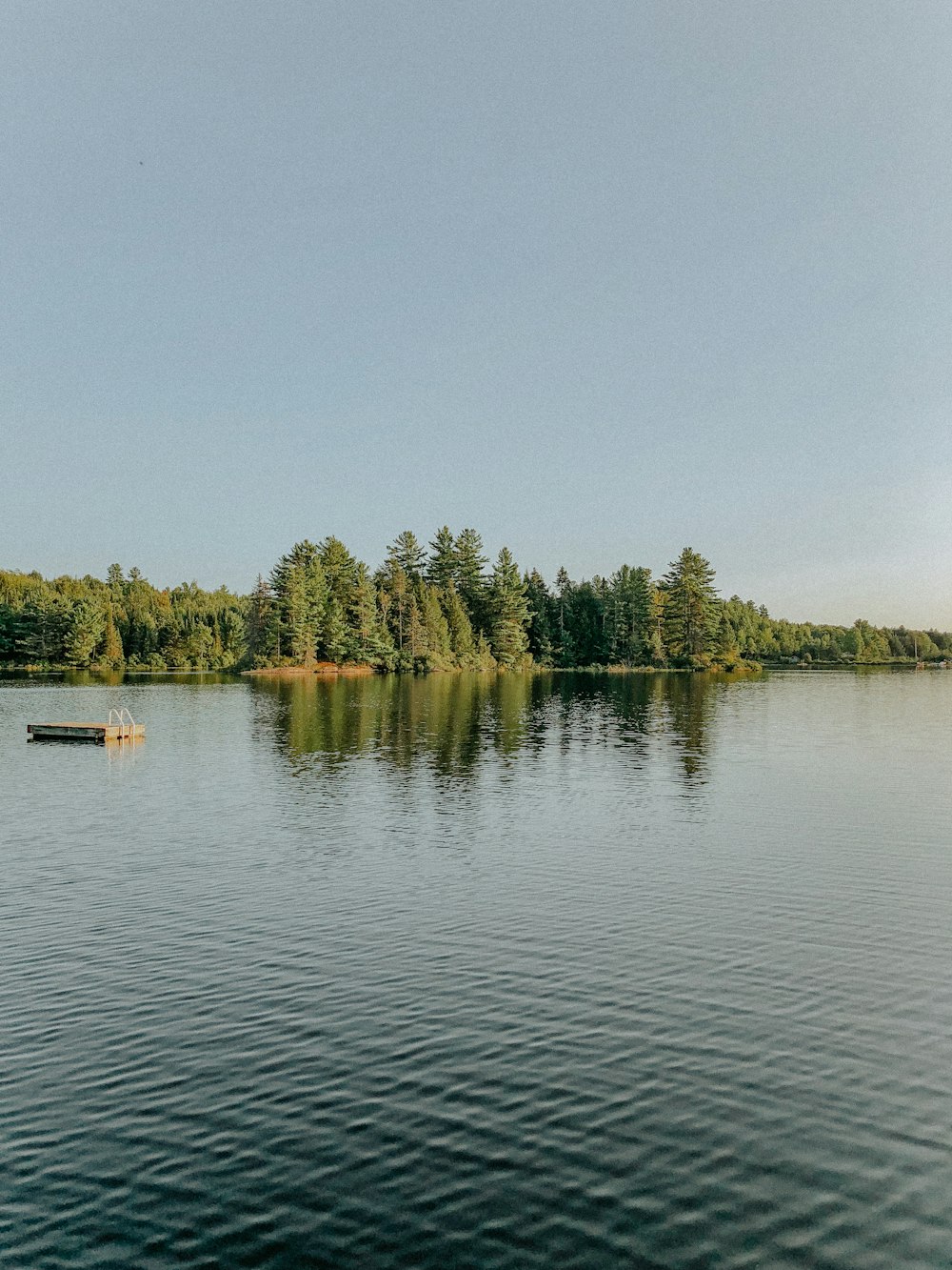 green trees beside body of water during daytime