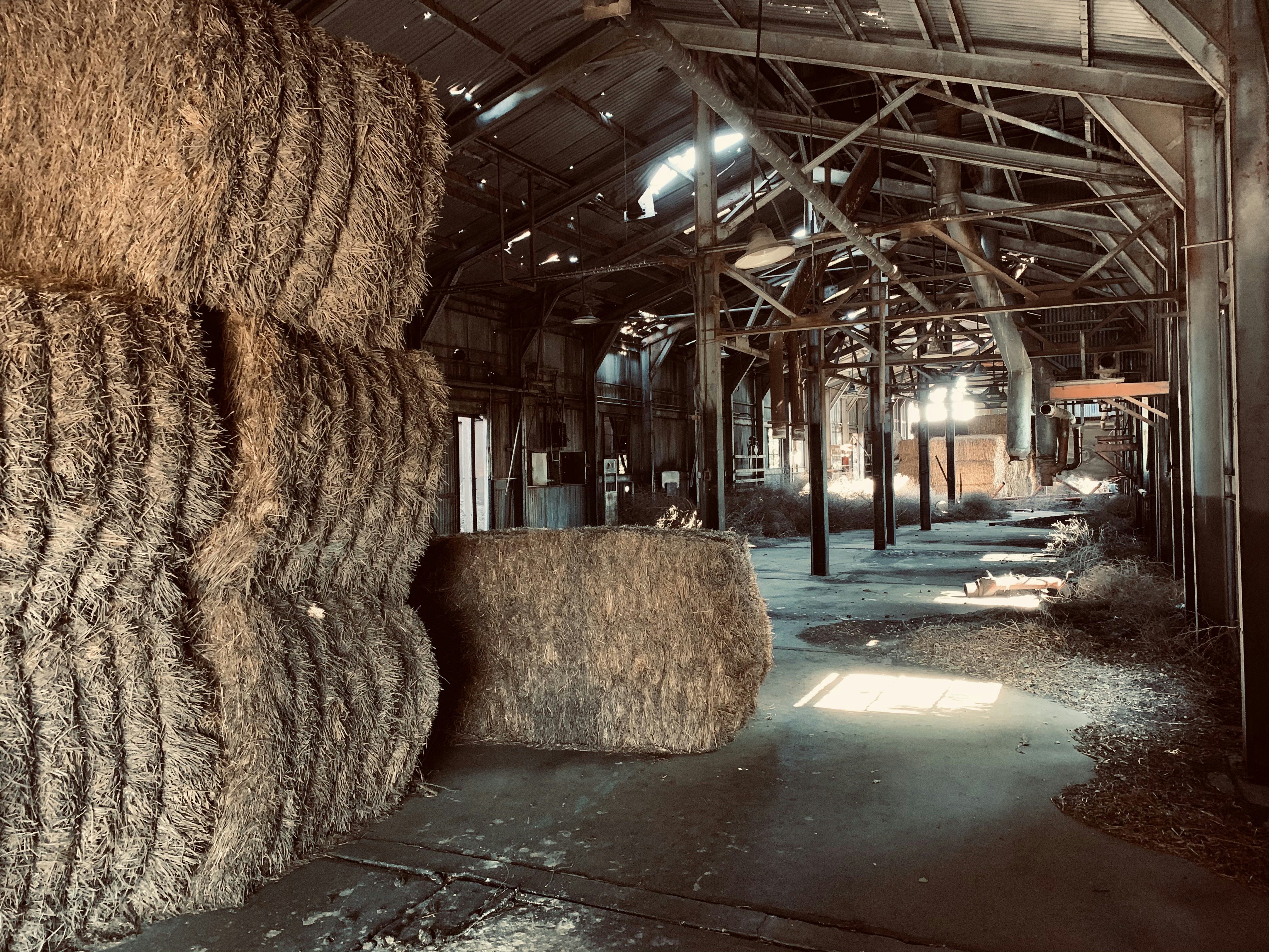 Horse Quality Alfalfa Hay