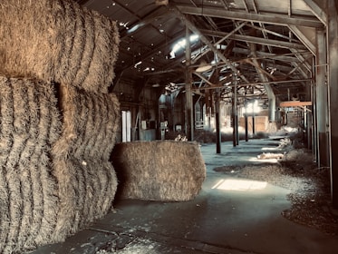 Close-up of fresh hay bales stacked neatly in a sunlit barn.