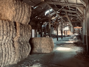 Close-up of golden alfalfa hay bales stacked neatly in a sunlit barn