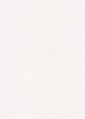white painted wall with black line
