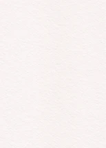 white textured paper or plaster surface
