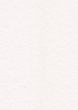 white painted wall with black line