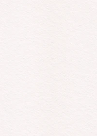 white textured paper or plaster surface