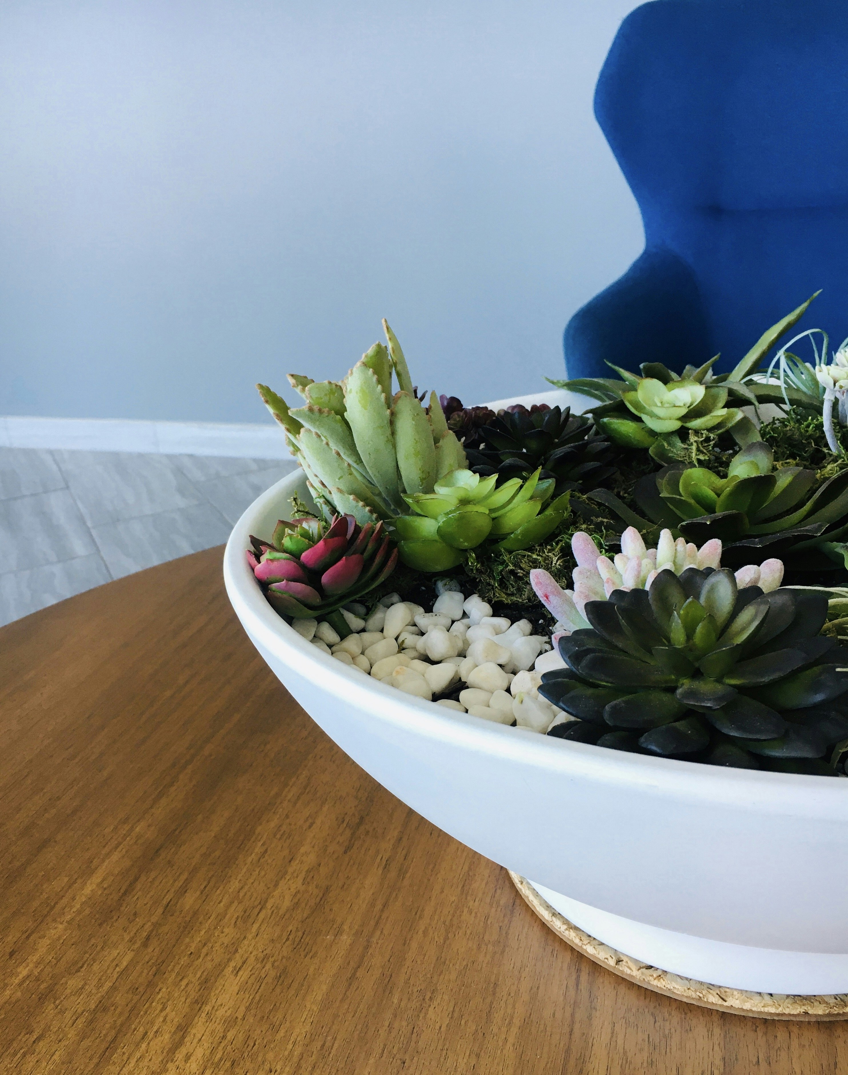 Decorating with Succulents - Beautiful Succulent Arrangement