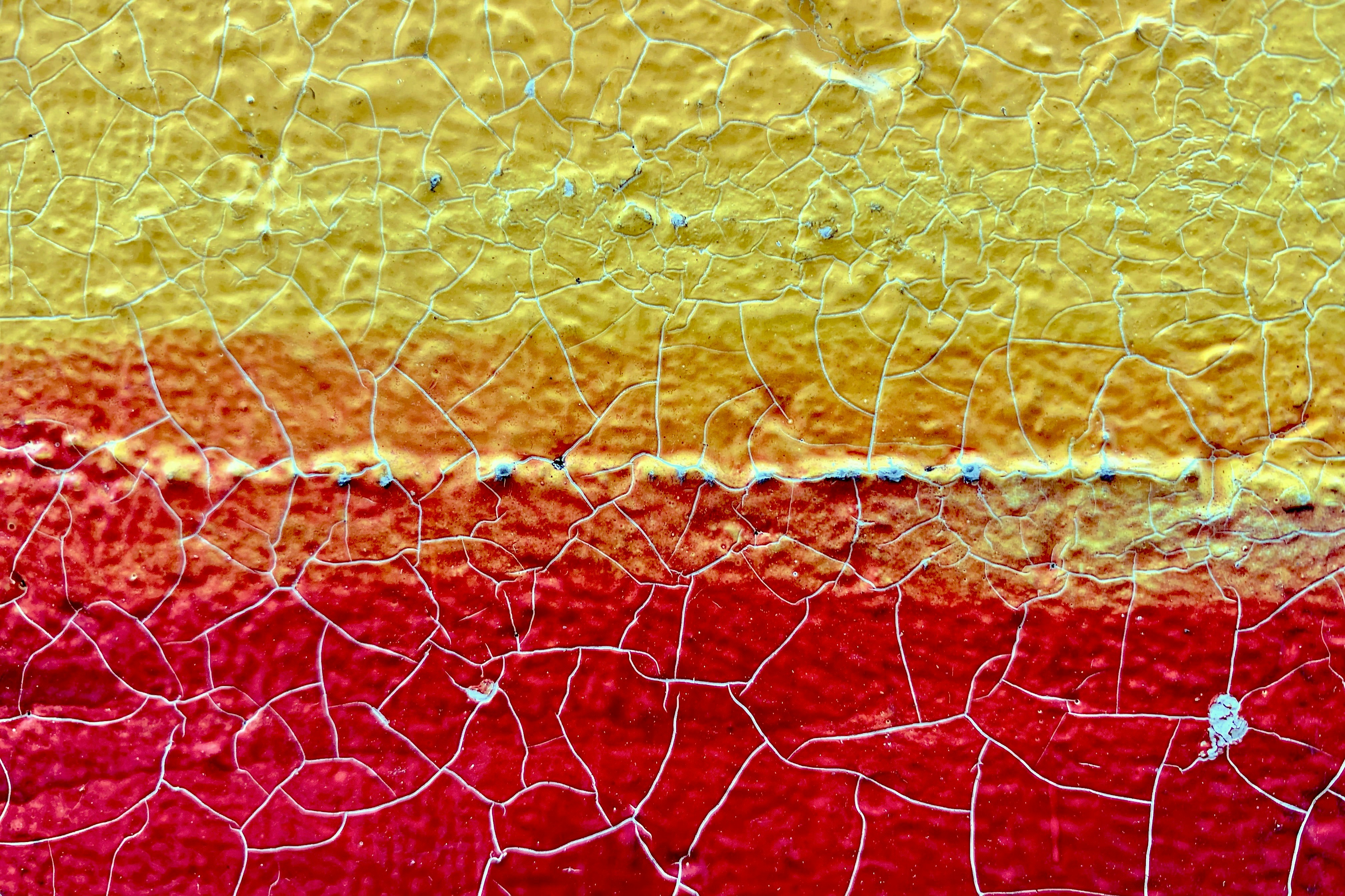 Photo by bekkybekks
