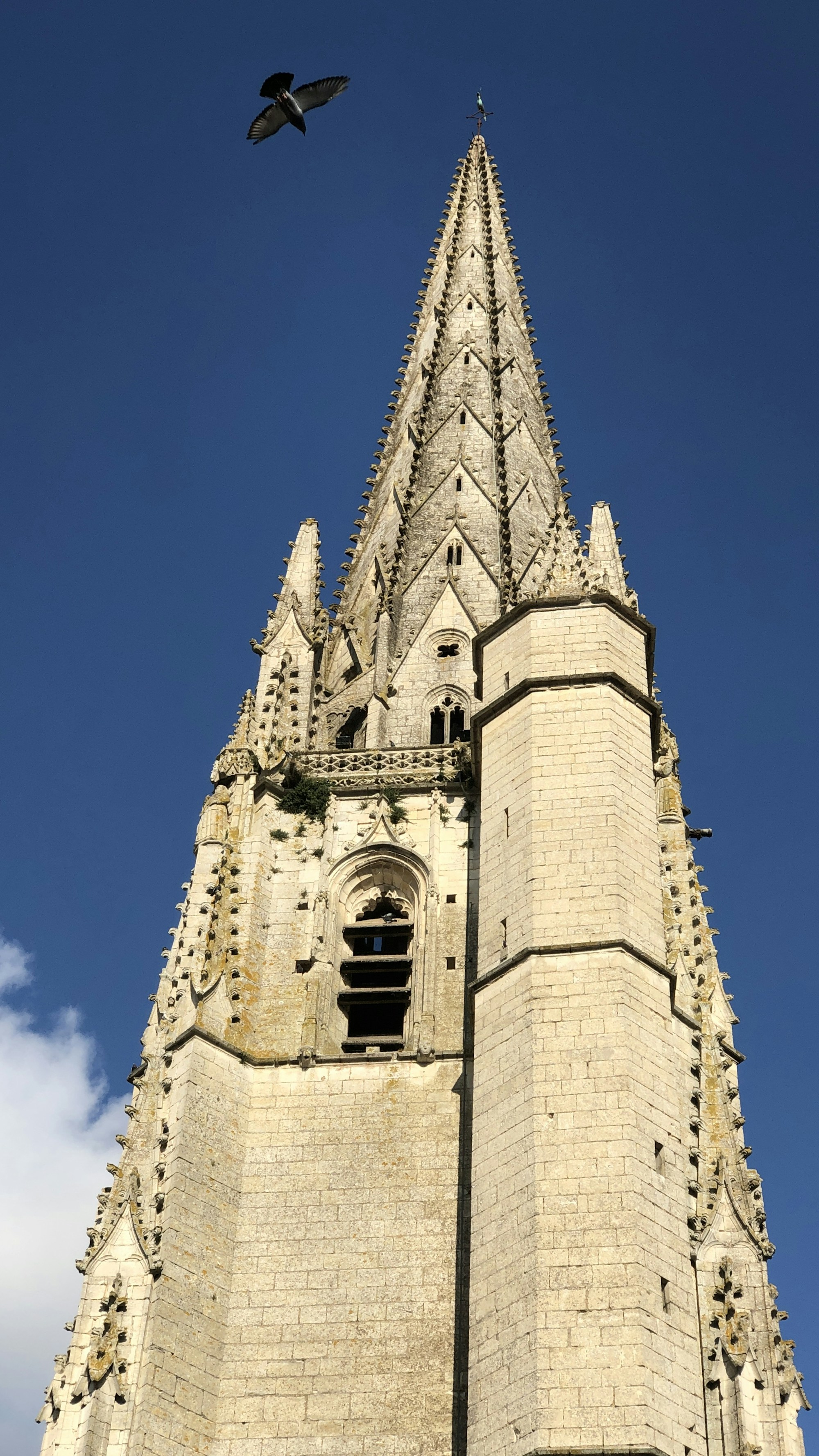 Discovering Niort: A Comprehensive Travel Guide