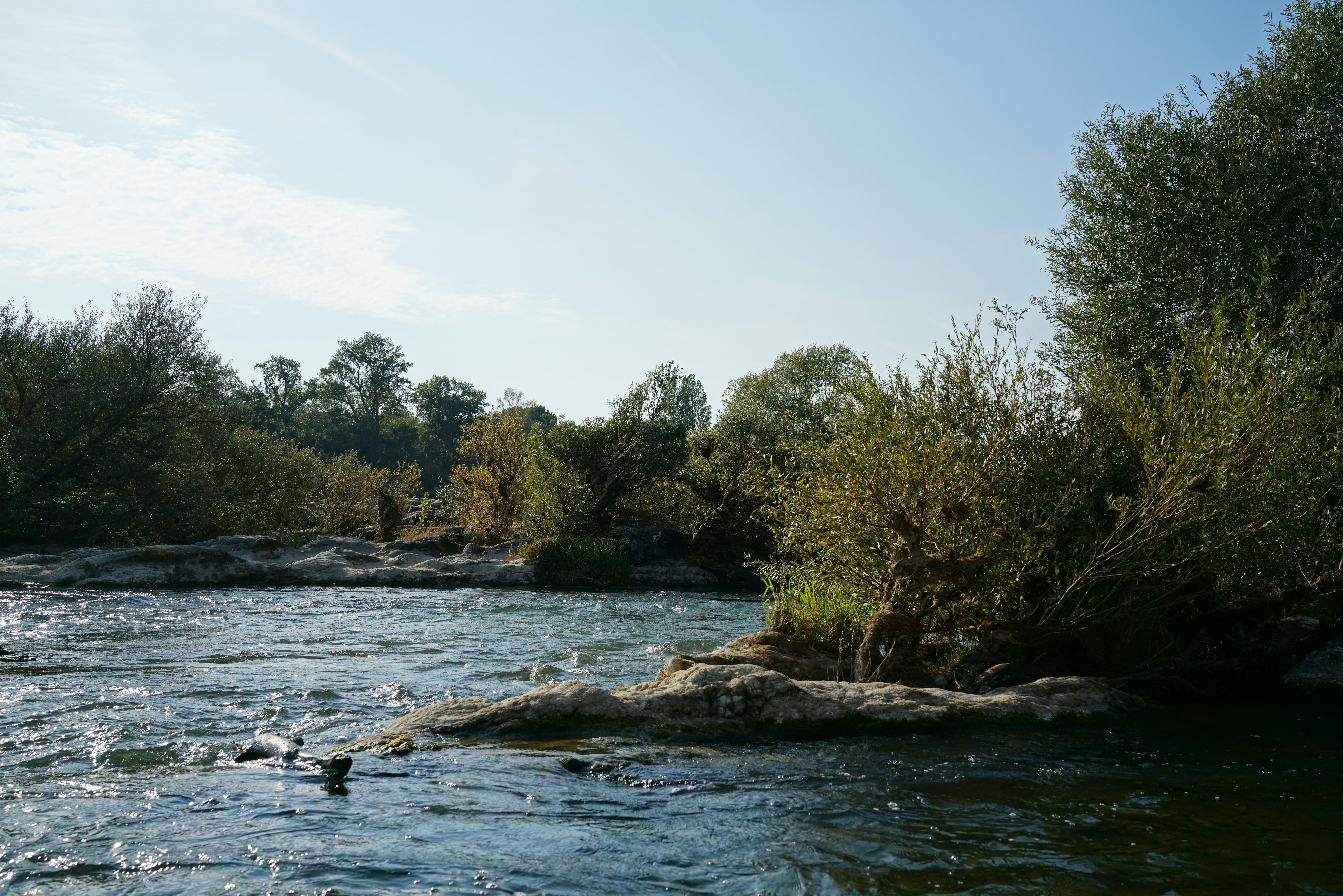 Photo by michael_2020