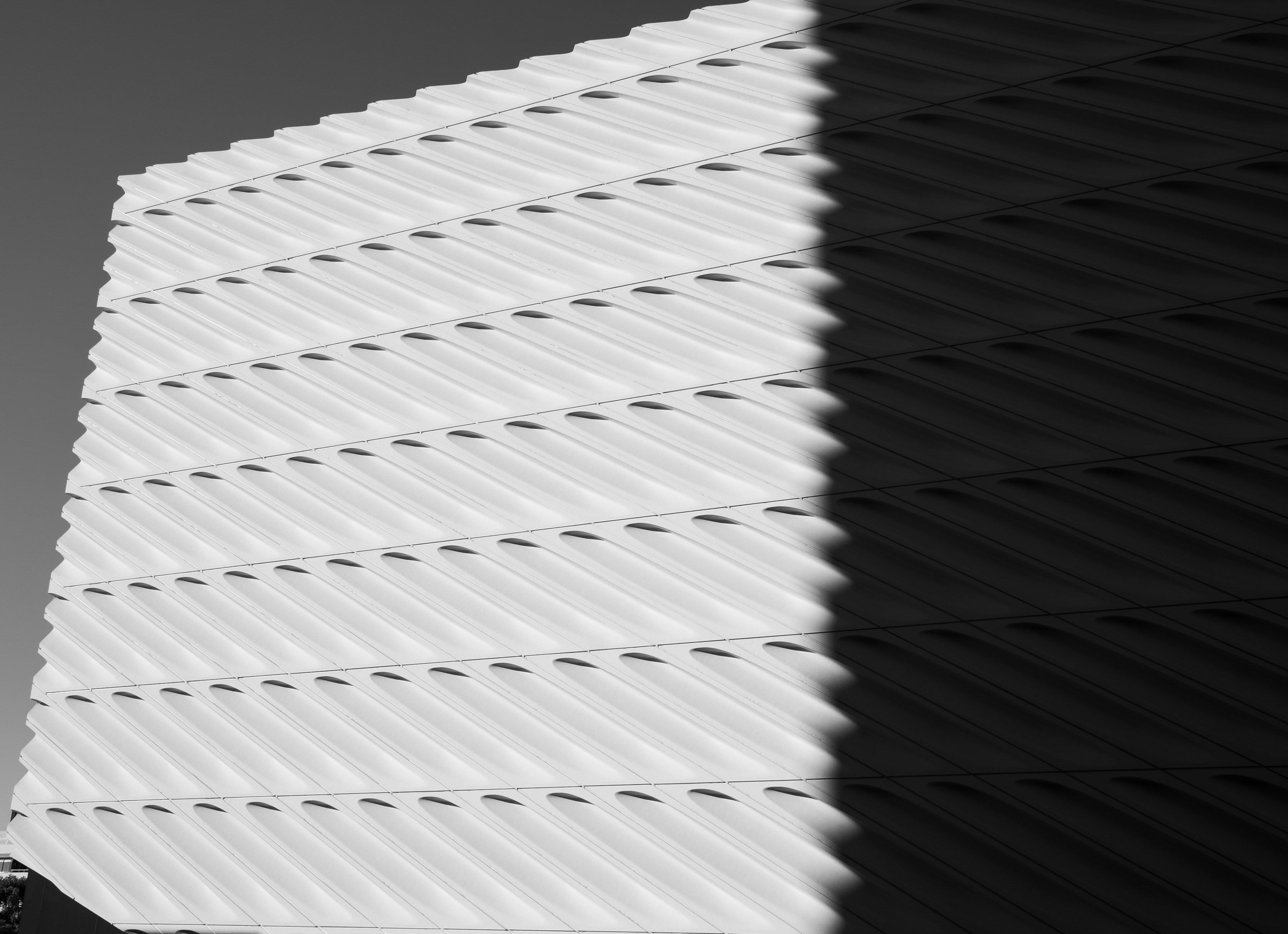 Photo by thrudeeslens