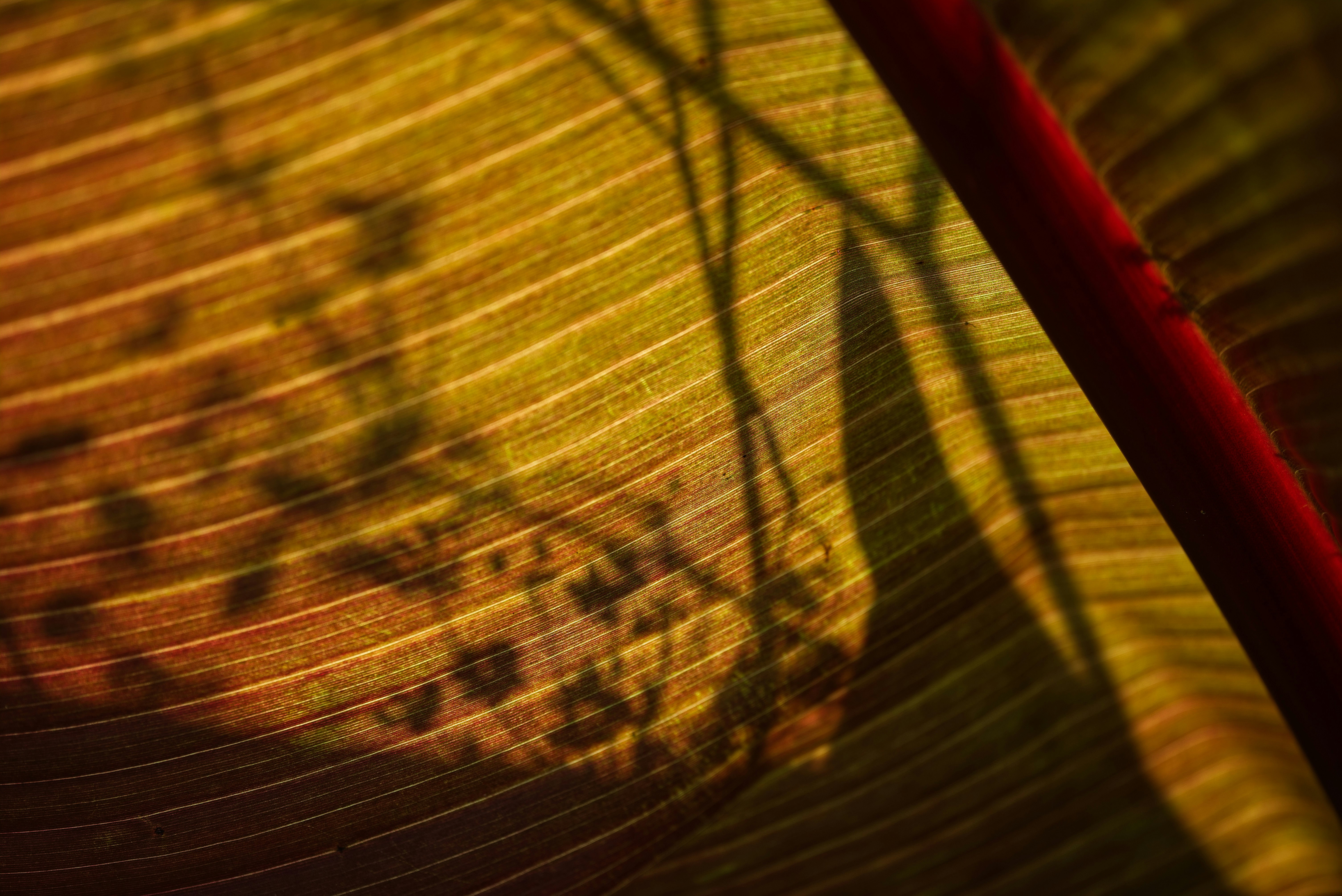 Kostenlose Bilder Pictures | Download Free Images on Unsplash