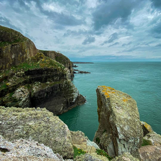 green and brown rock formation beside blue sea under white clouds and blue sky during daytime in RSPB South Stack United Kingdom