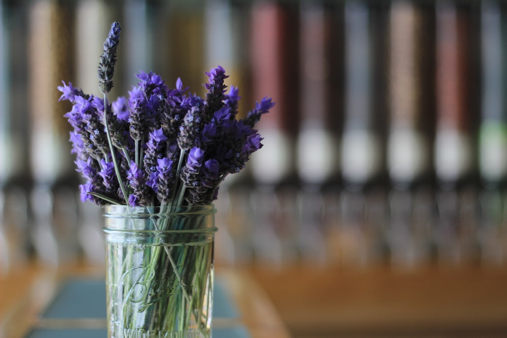 purple flowers in clear glass vase