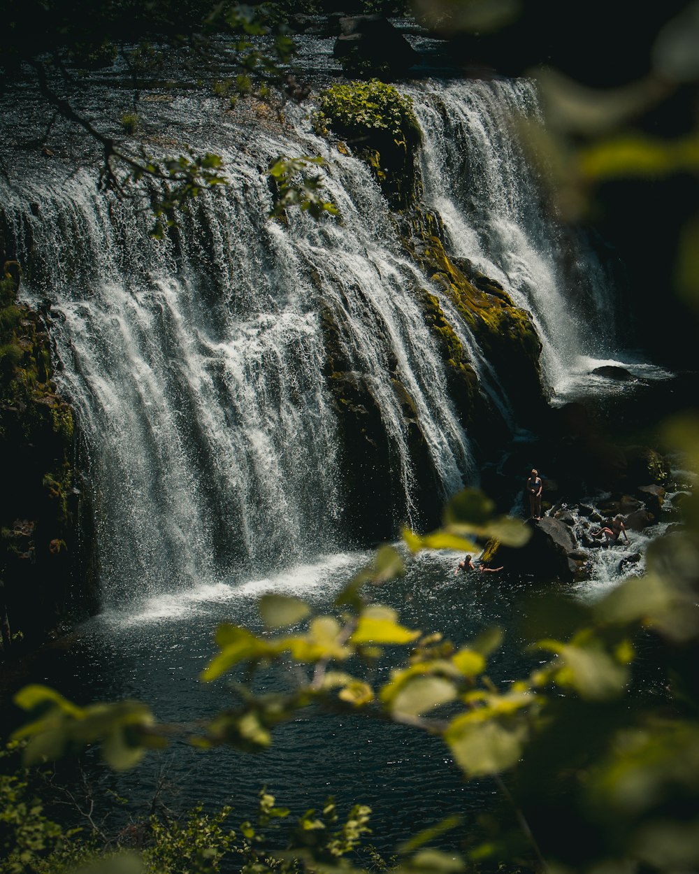 water falls in the middle of the forest