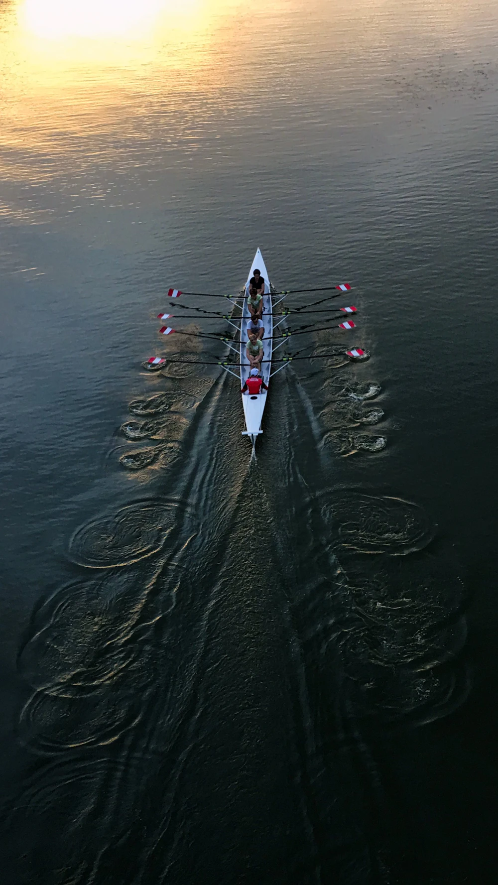 Erg training