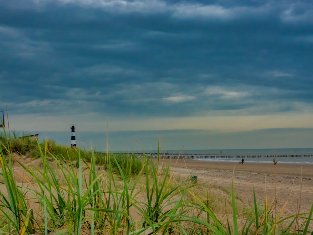lighthouse on beach under cloudy sky during daytime