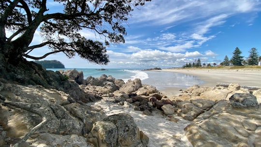 brown rocks near body of water under blue sky during daytime in Mount Maunganui New Zealand