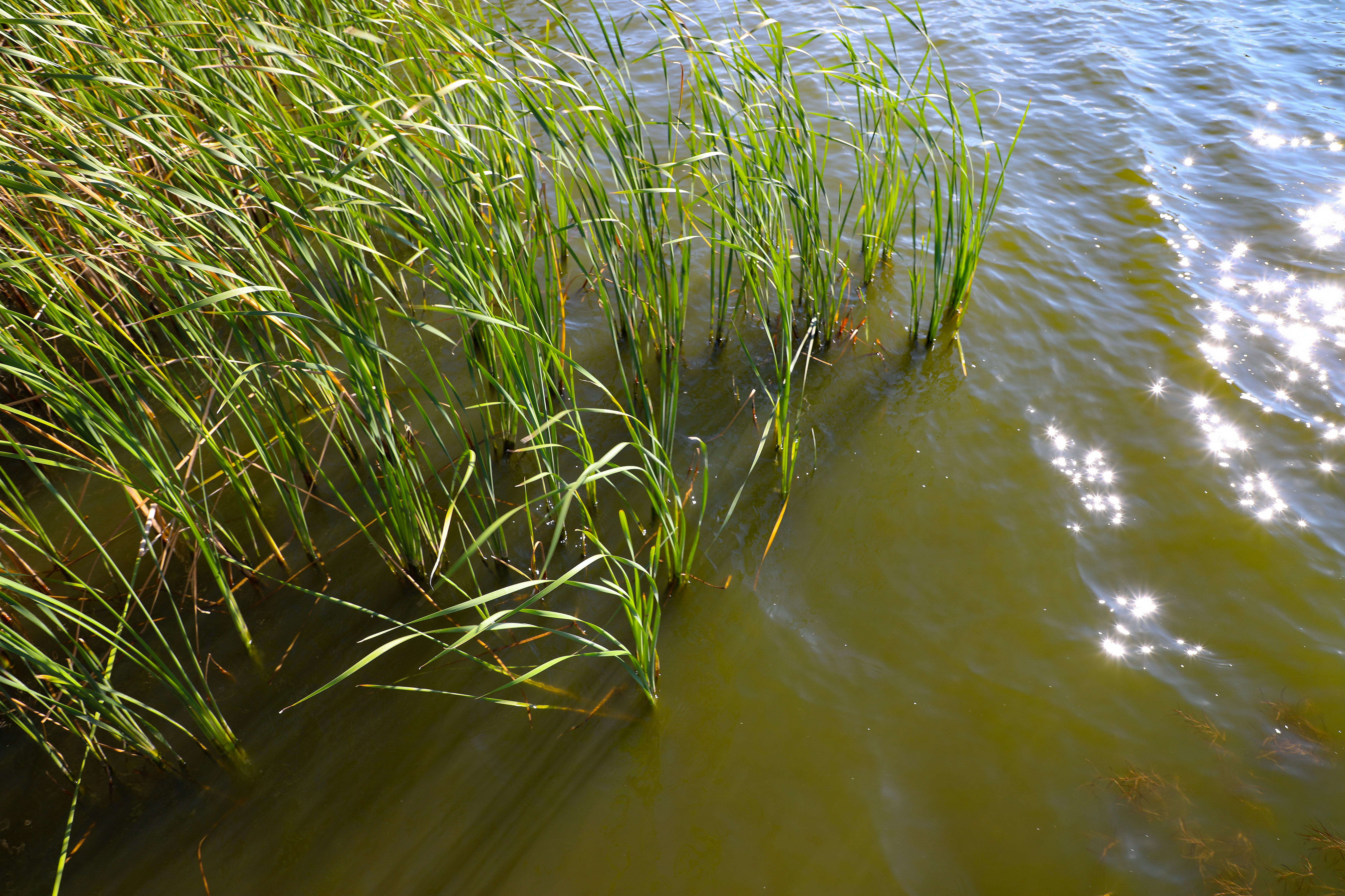 Photo by michaelbweidner