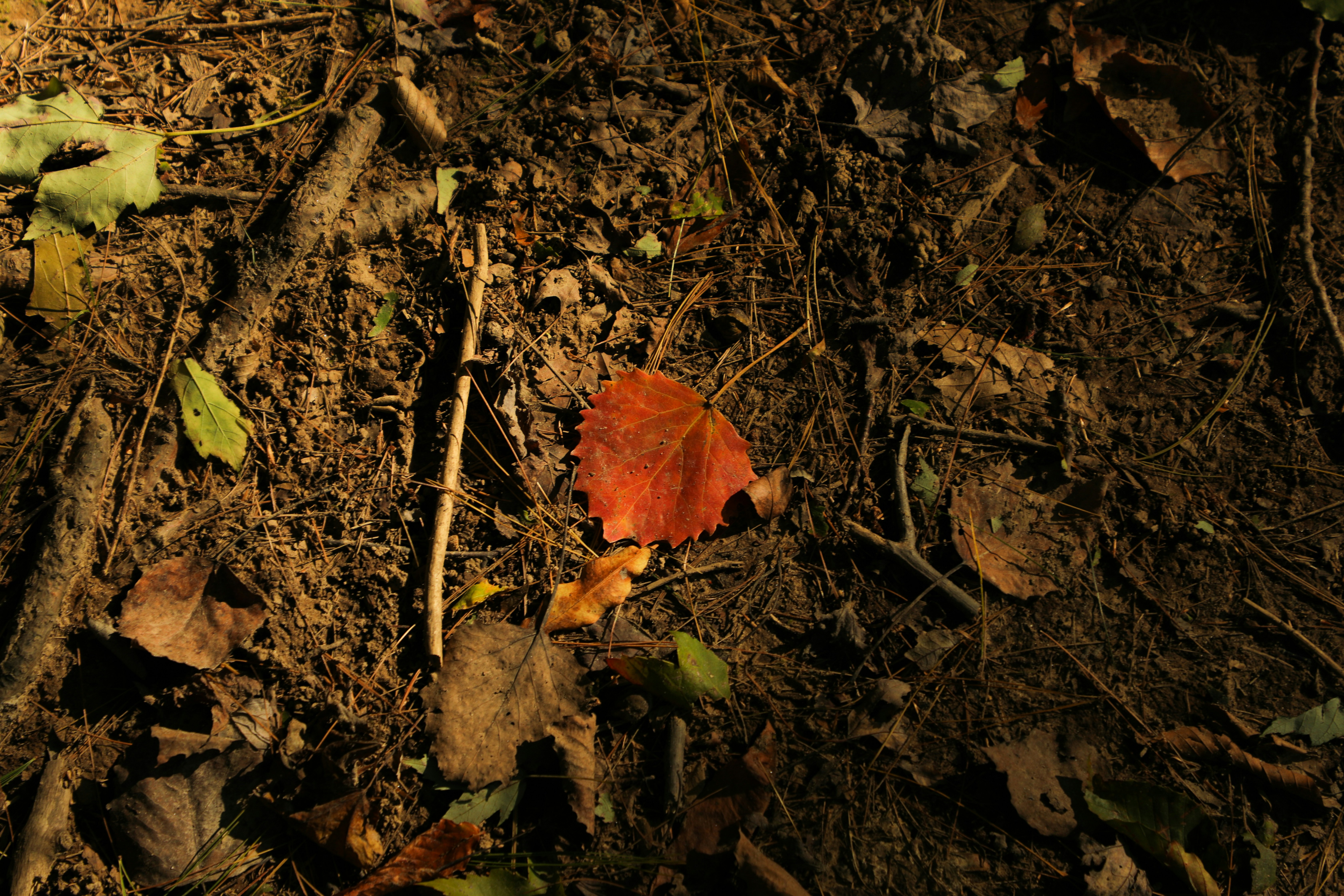 Photo by michaelbweidner