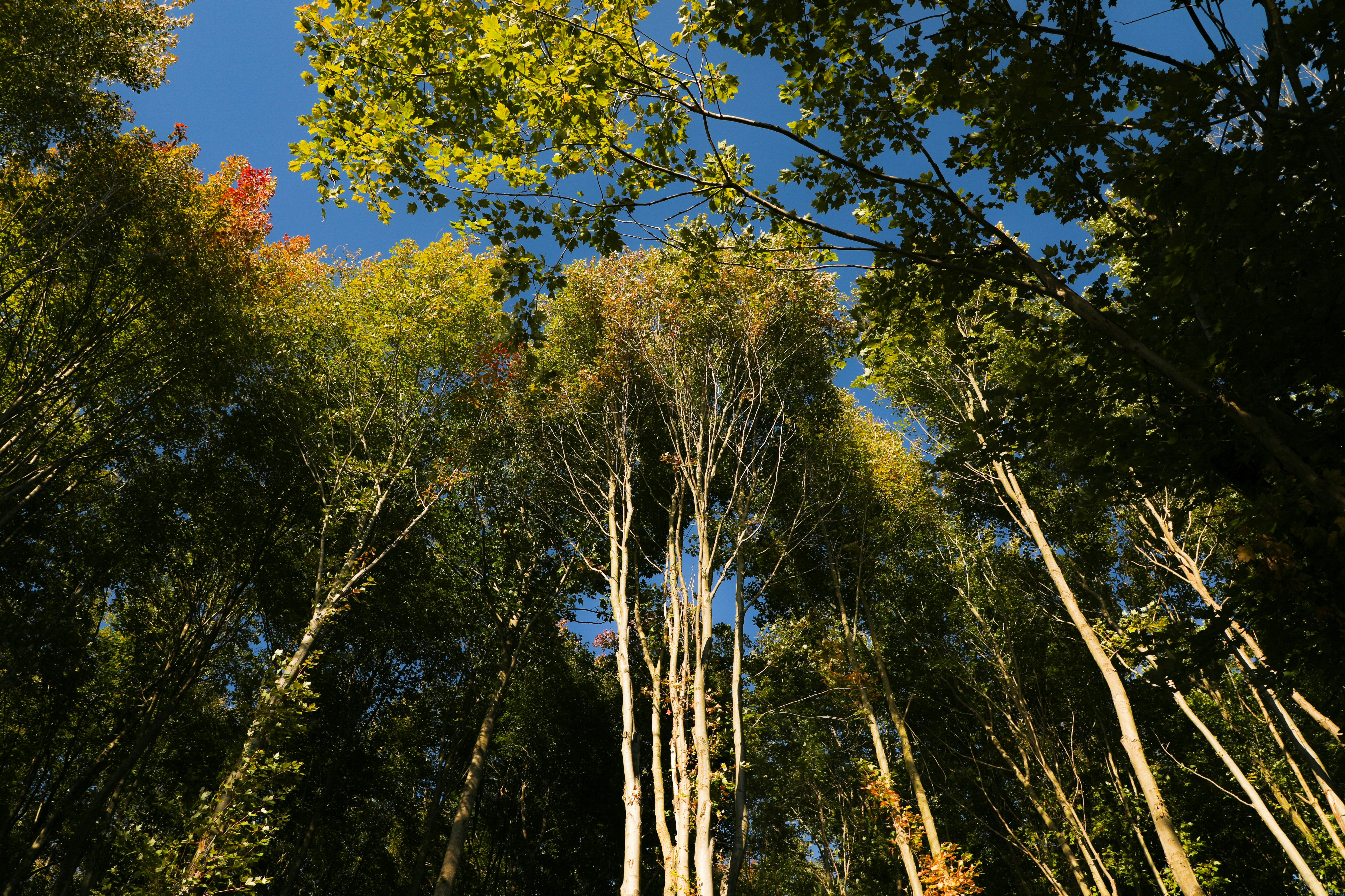 Photo by michaelbweidner