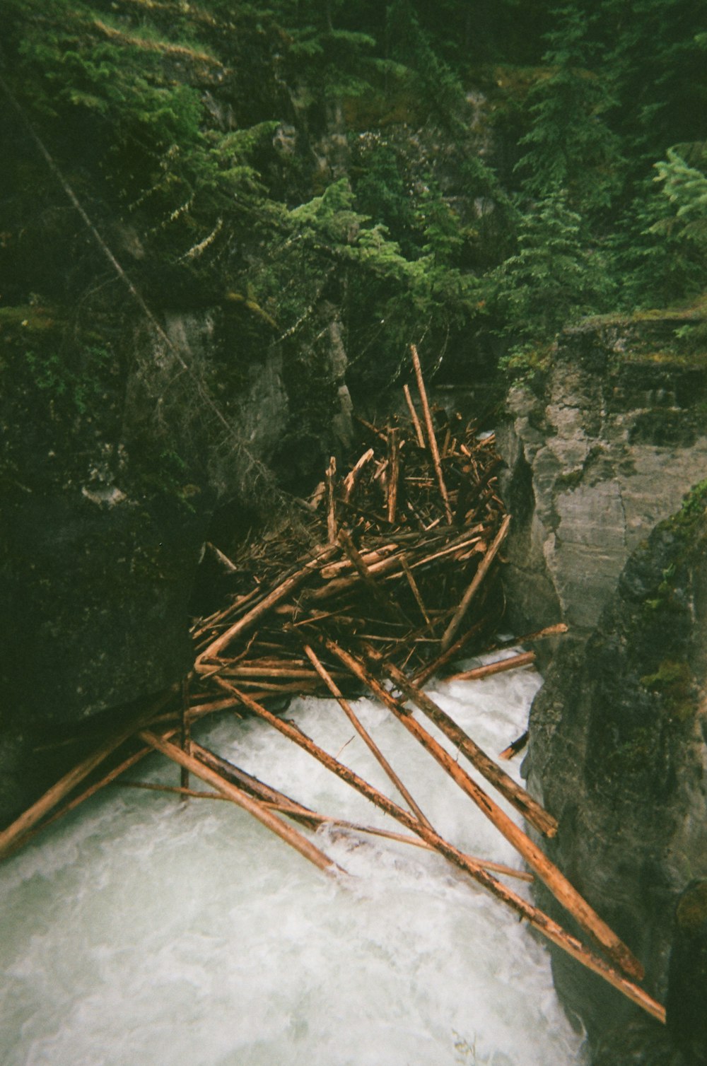 brown wooden sticks on gray rock