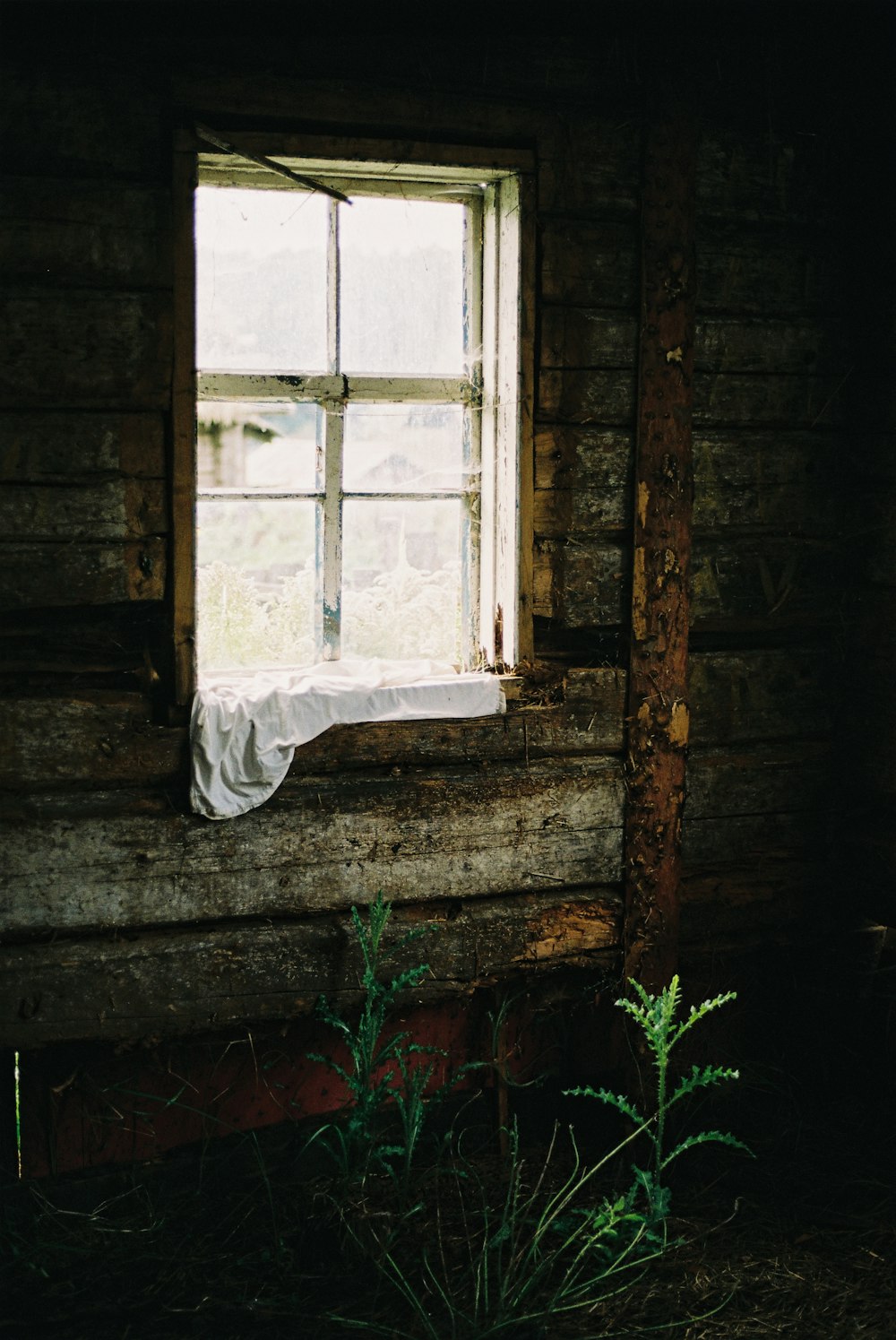 white window curtain on window