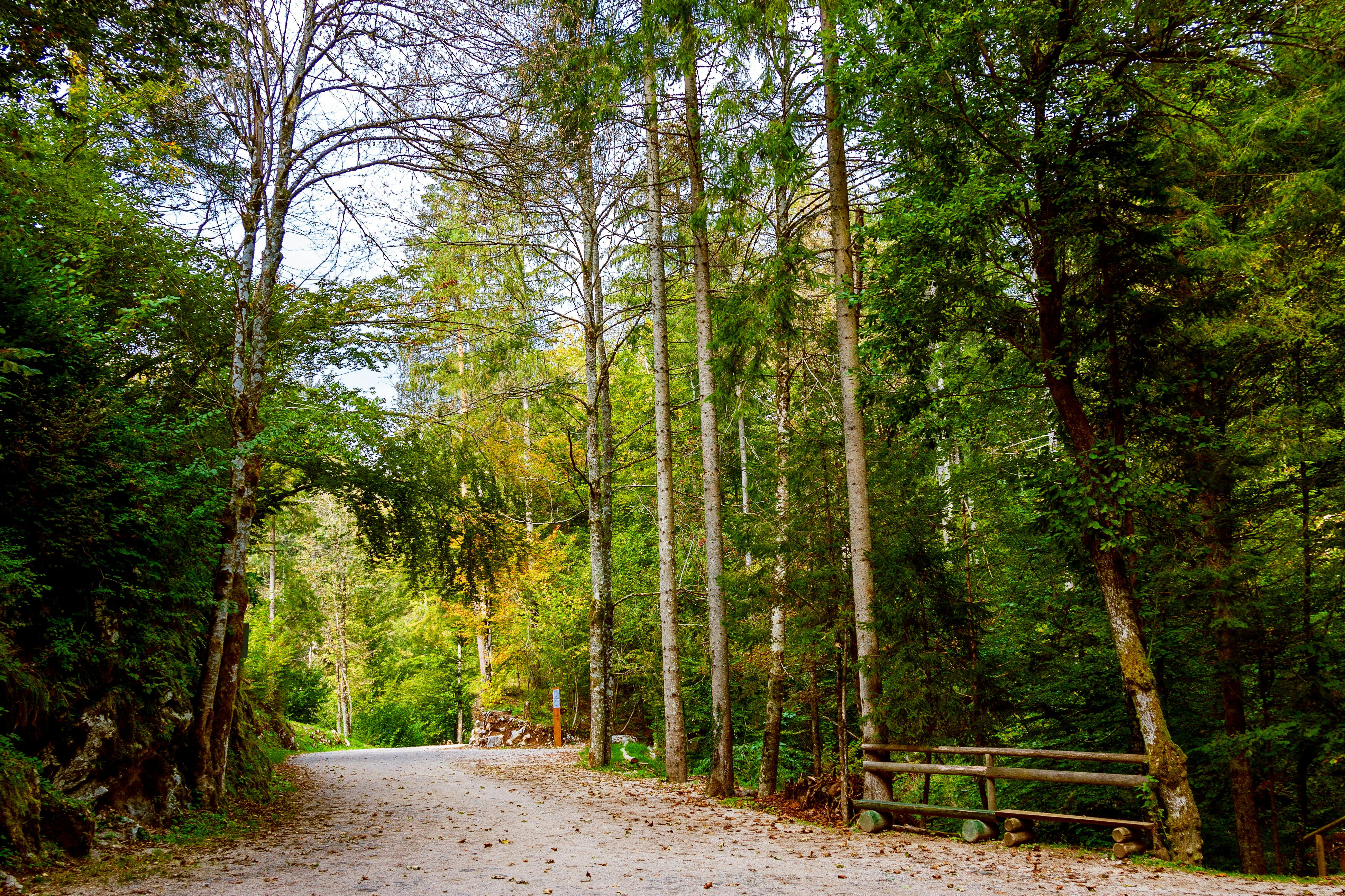 Photo by eugene_kuznetsov