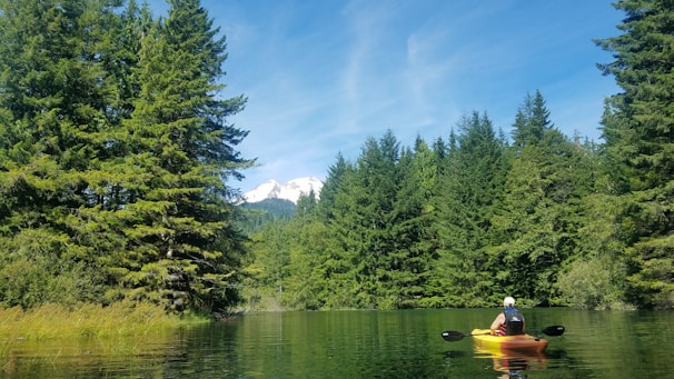 A person paddling a bright kayak on a clear lake surrounded by pine trees and mountains.