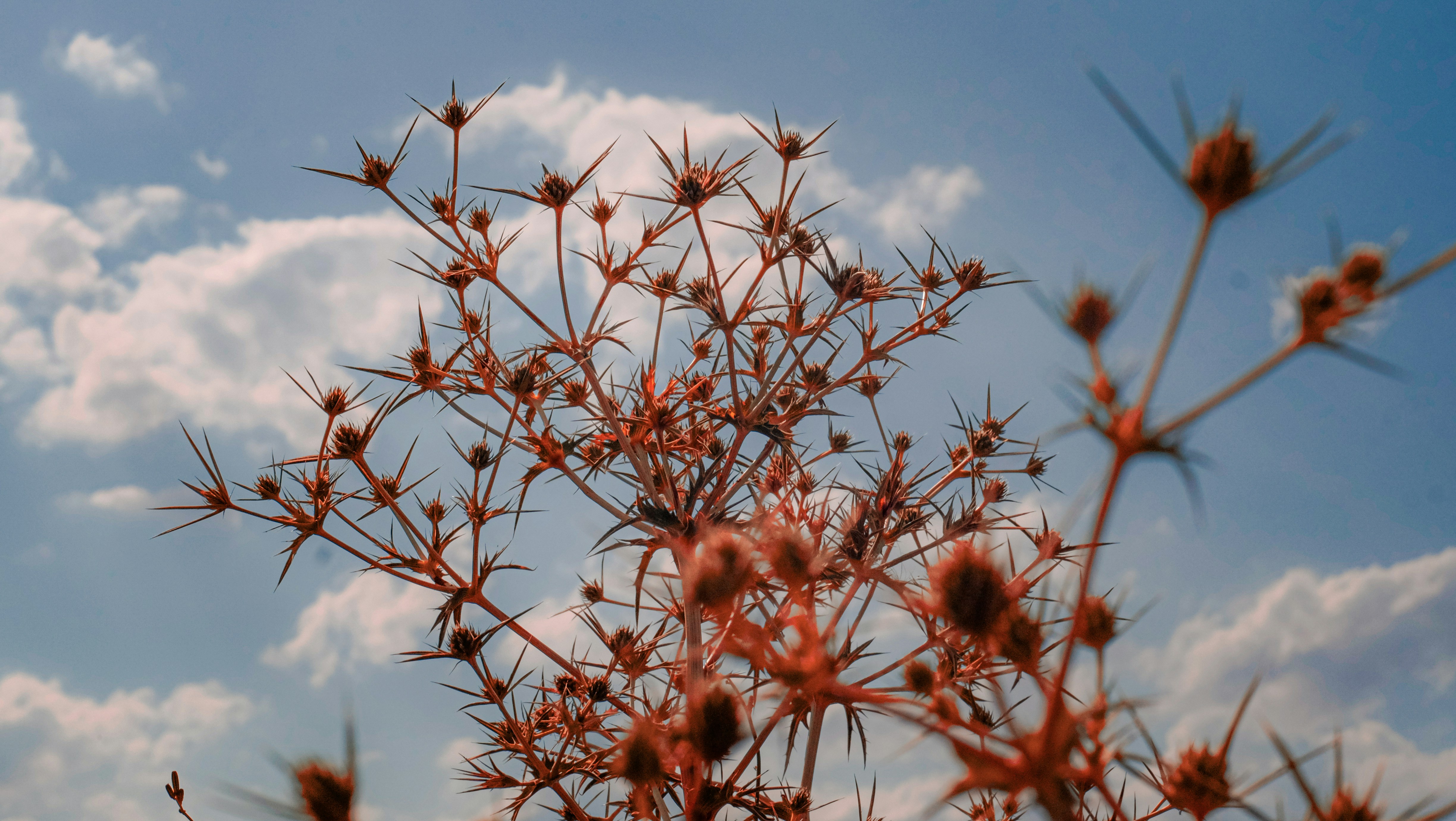 Photo by hikmethl