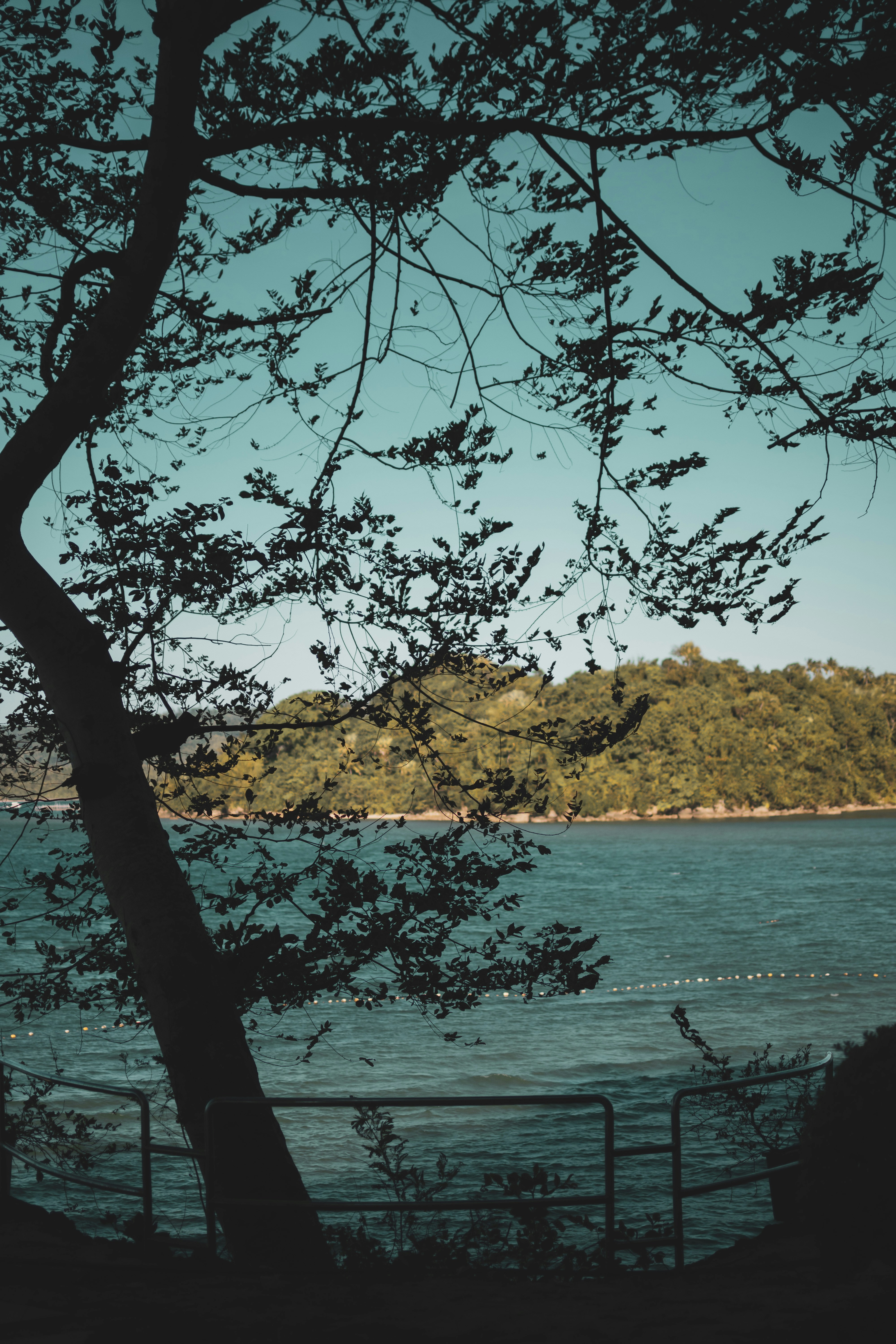 Photo by jctubelleza