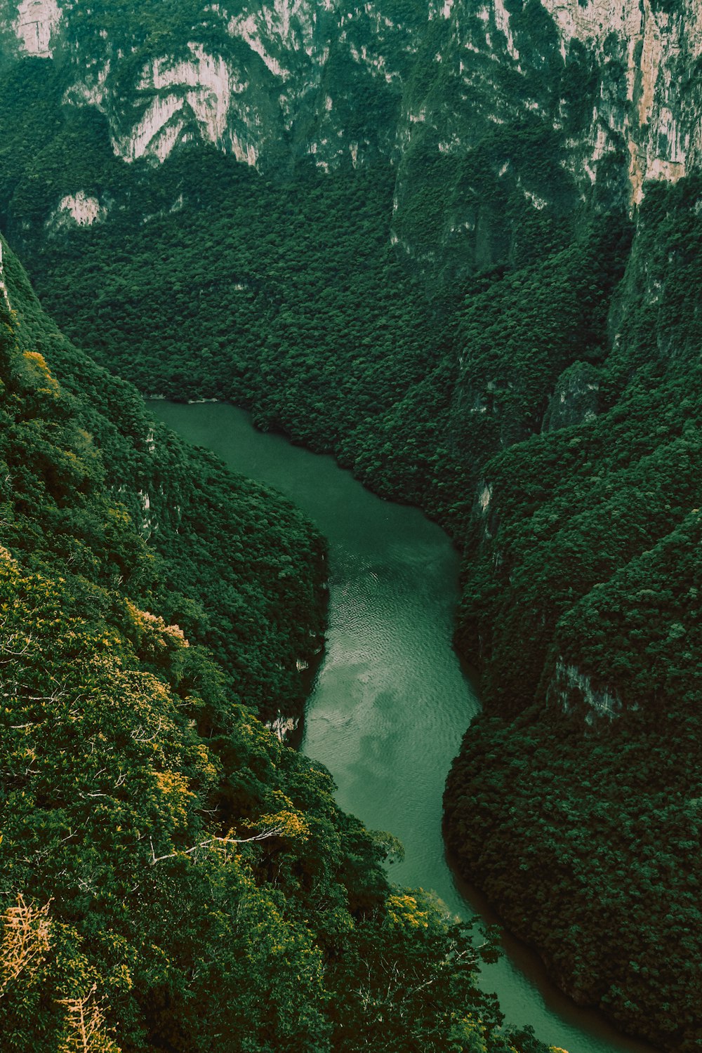 river in between green moss covered rocks