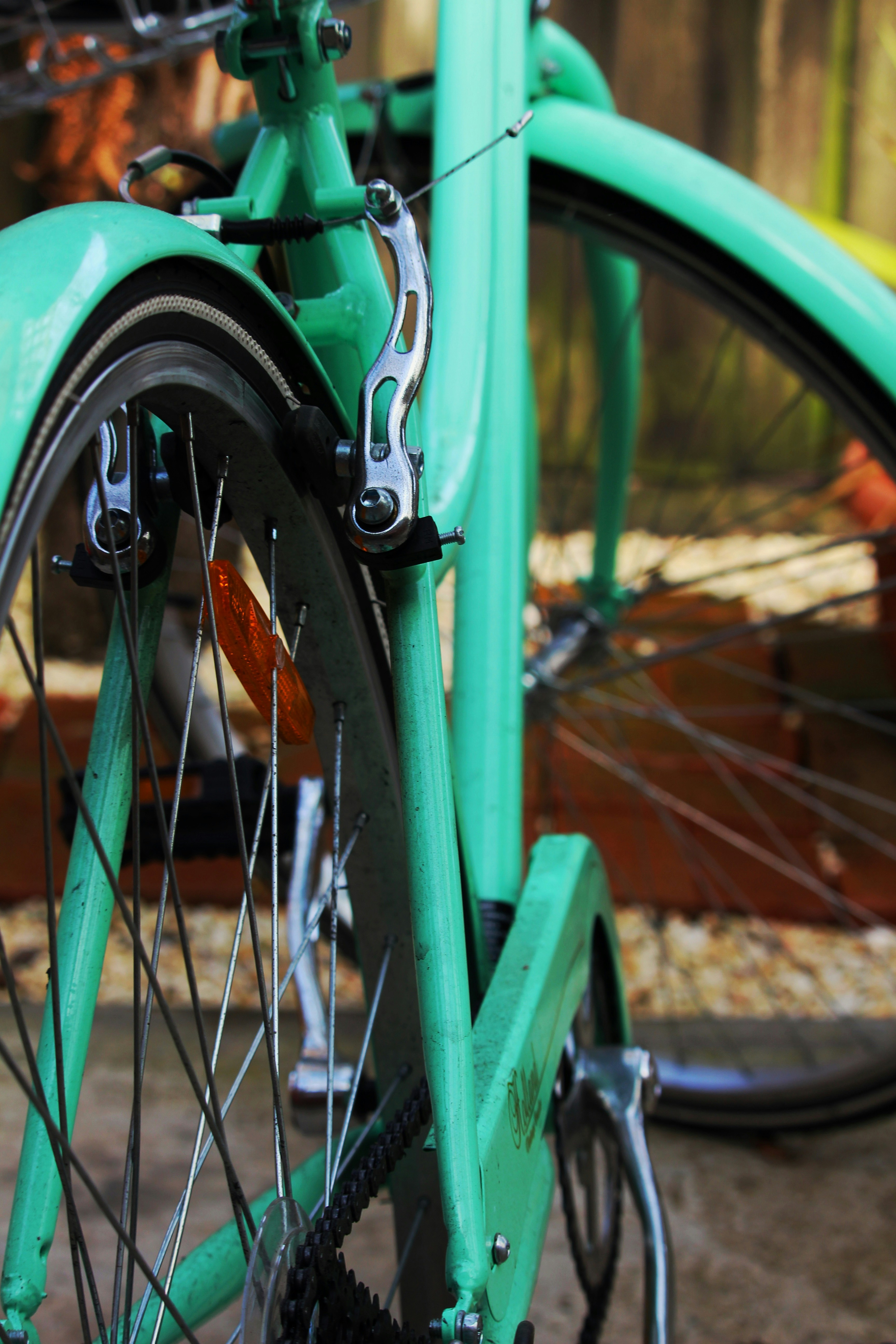 Photo by emilytayla05