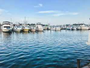 Rows of boats docked at a wooden marina with calm lake waters reflecting the sky.