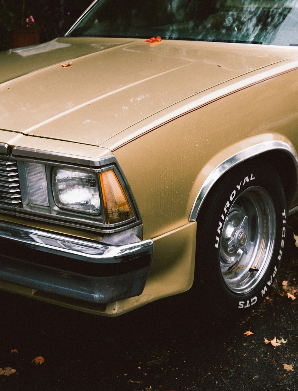 brown and white car on black asphalt road