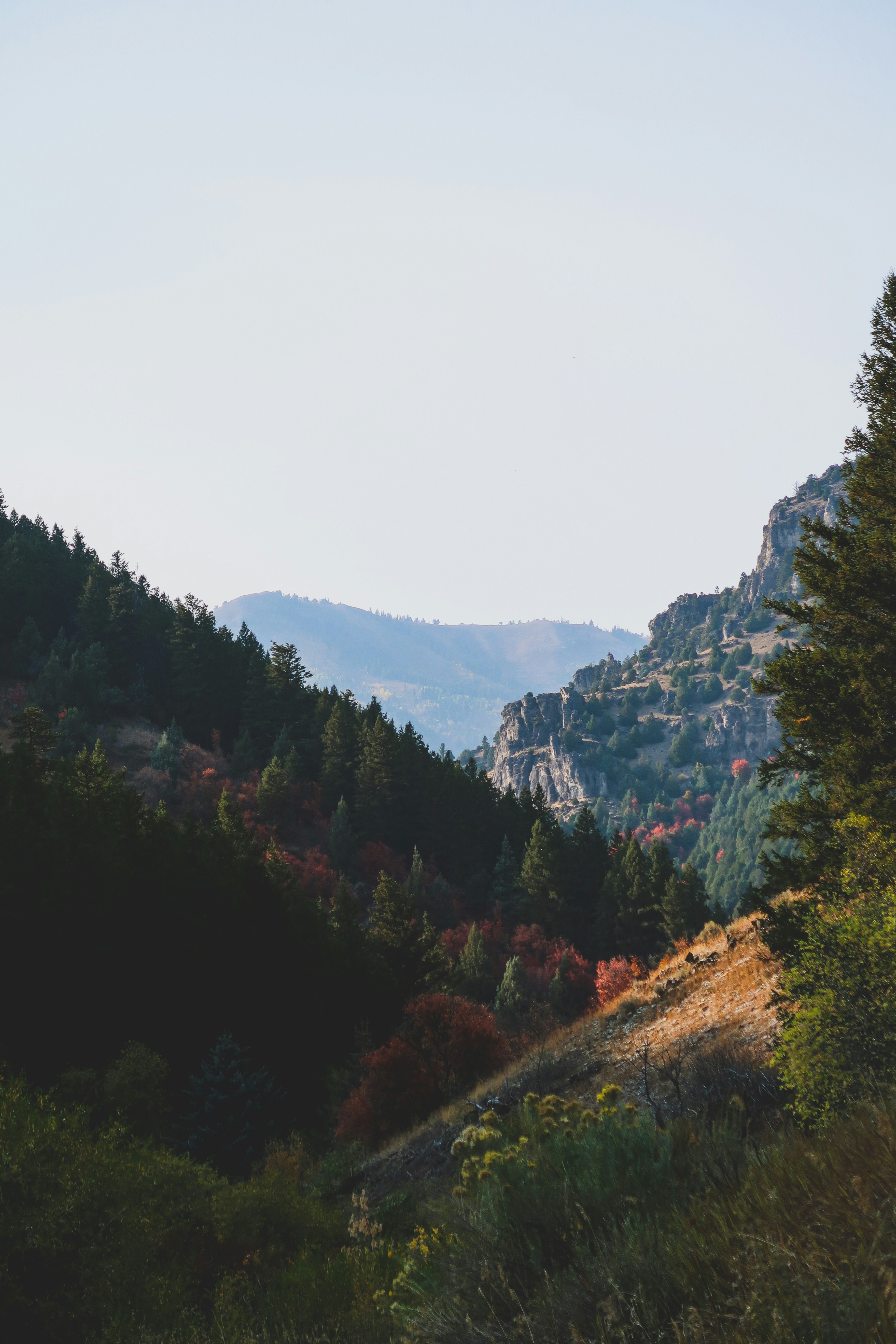 Photo by courtneysmith