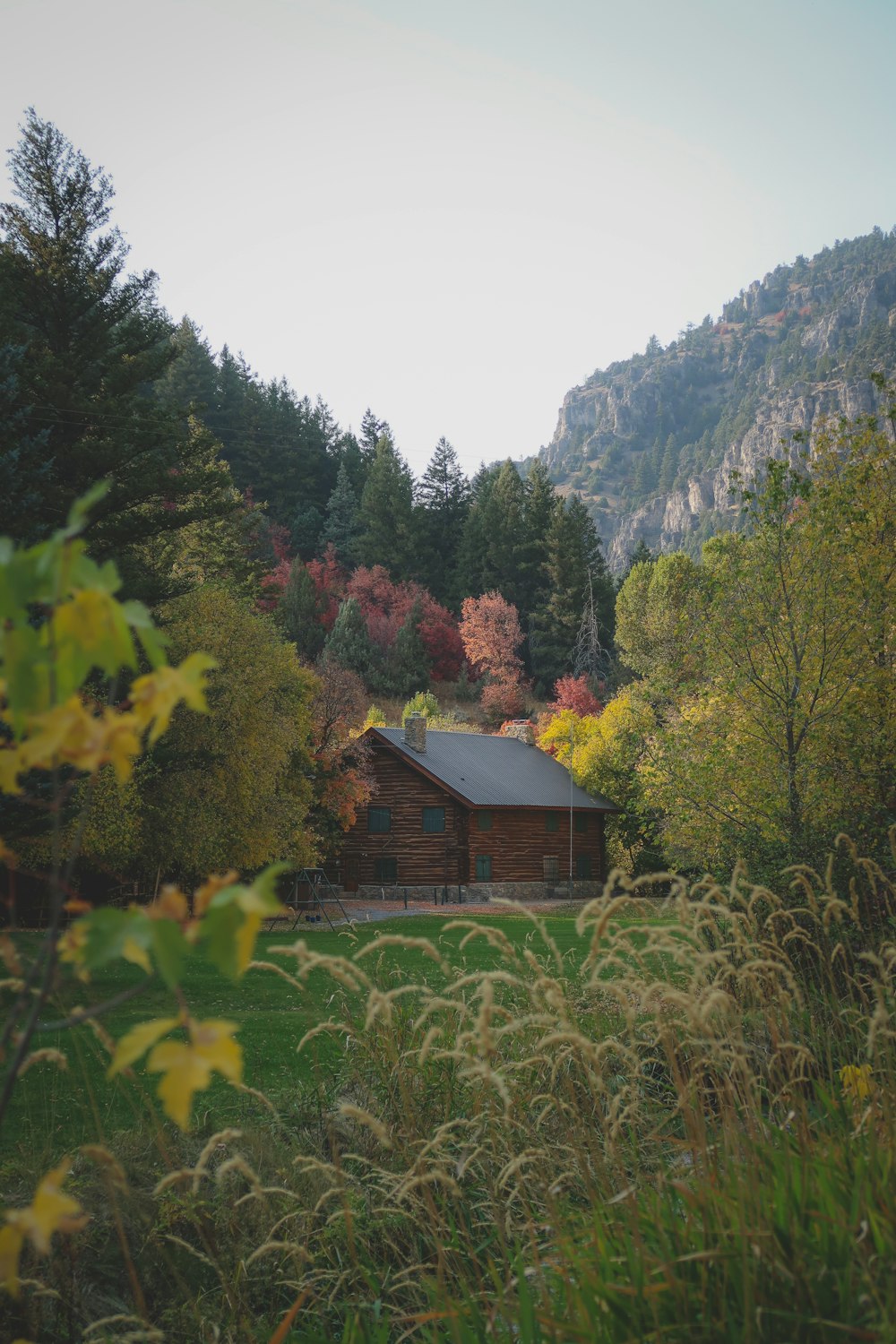 brown wooden house on green grass field near green trees and mountain during daytime