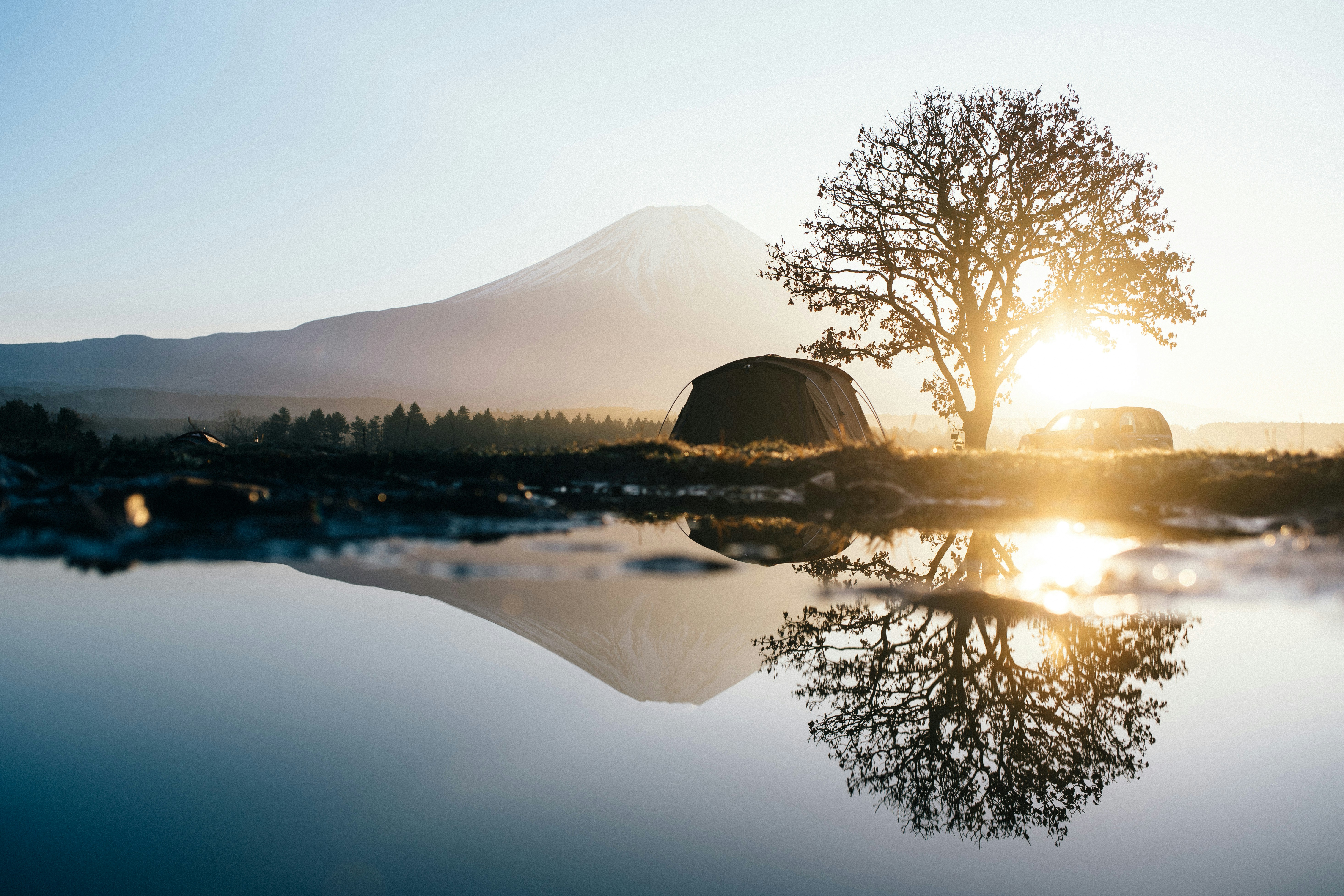 silhouette of trees near lake during sunset