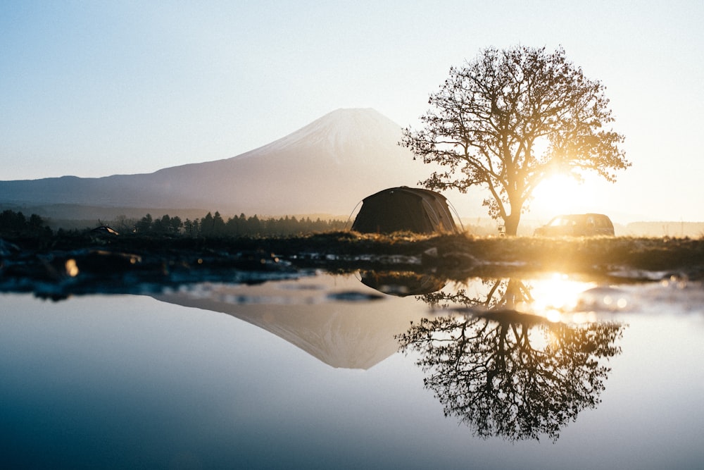 silhouette of trees near lake during sunset