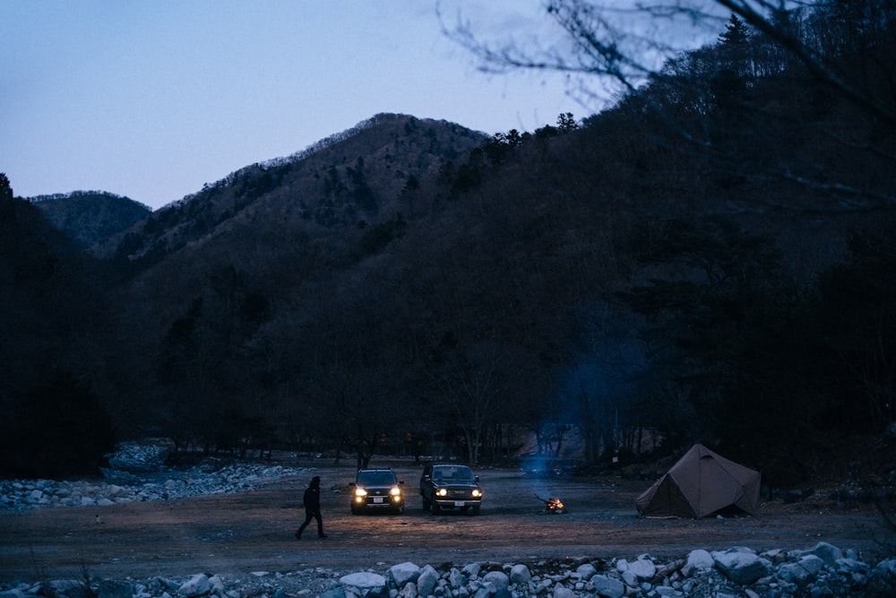 people standing near bonfire and trees during daytime