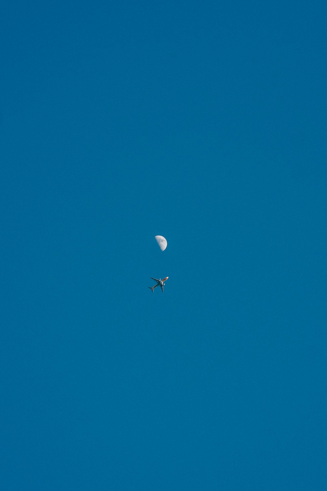 white bird flying on blue sky during daytime