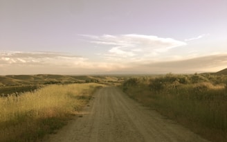 brown dirt road between green grass field under white clouds and blue sky during daytime