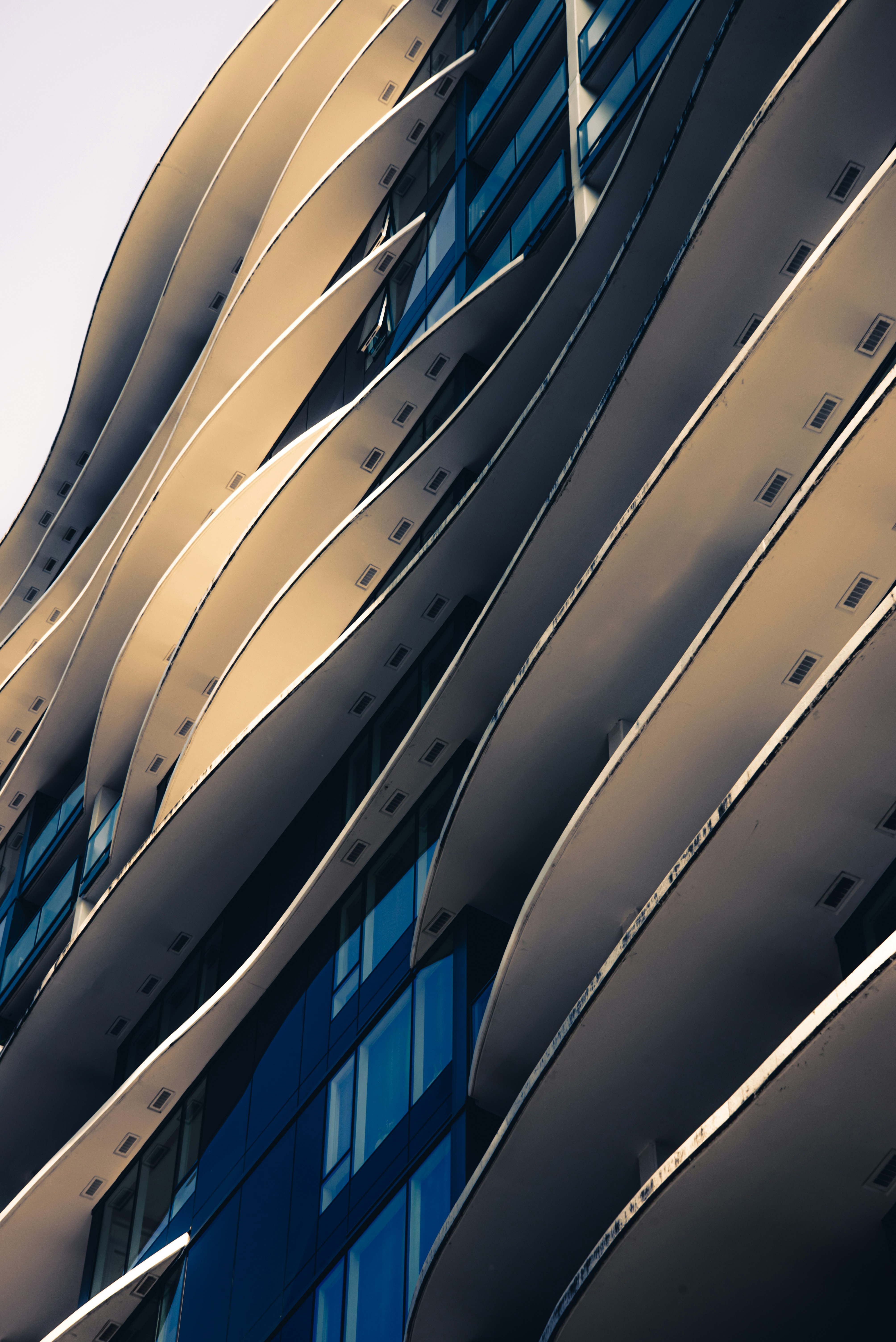 Photo by ryunosuke_kikuno