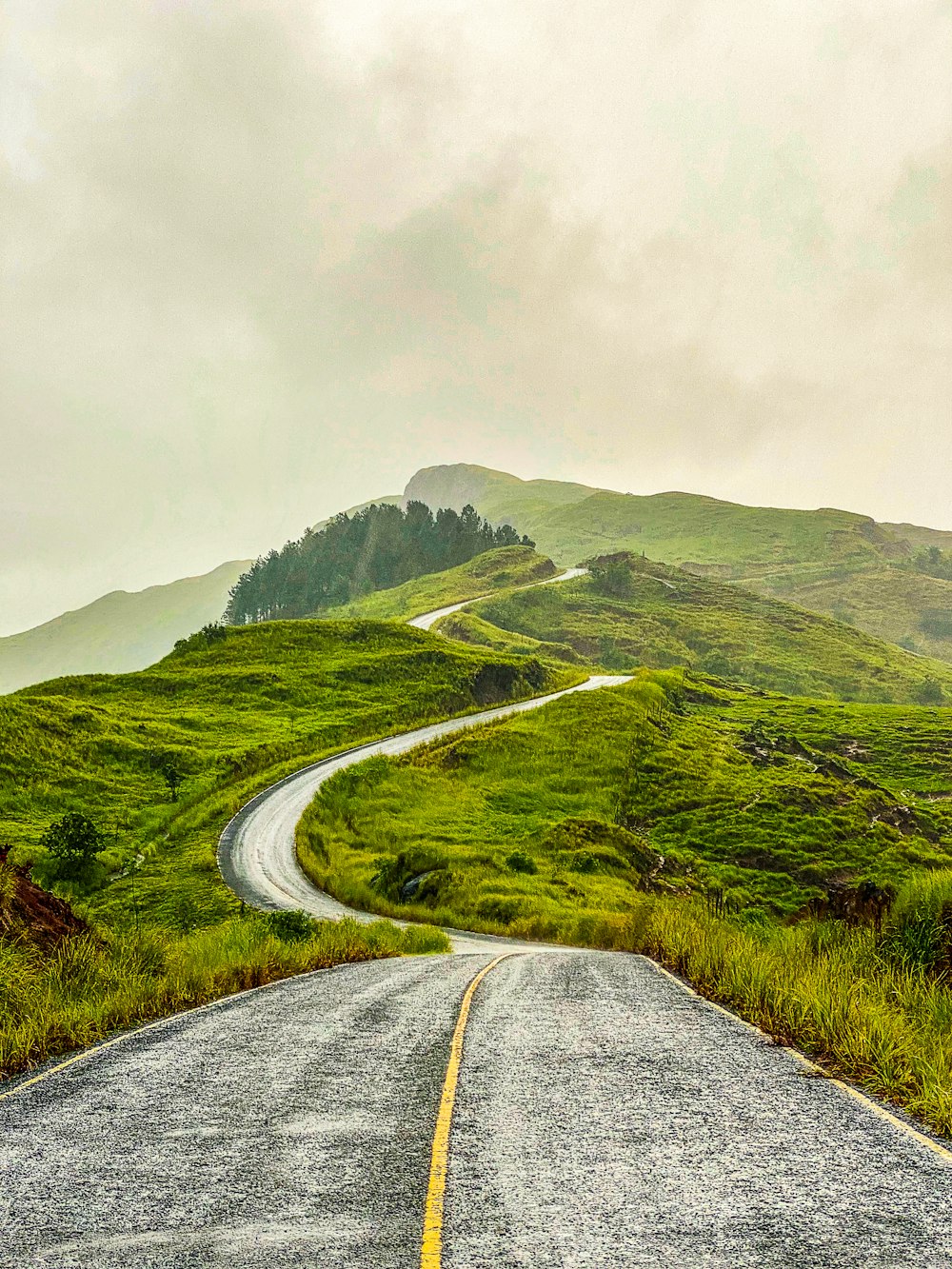 Strada di cemento grigio tra le colline coperte di erba verde